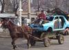 Fun_Pic_ 1097 